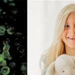 Child dies from brain-eating amoeba infection