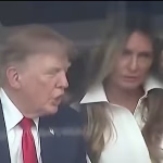 Did Trump and Melania quarrel over Natalie Harp