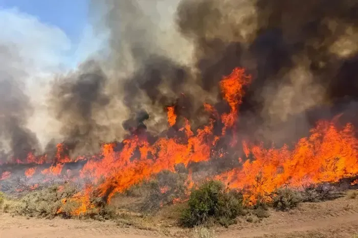 Helicopter crashes while fighting wildfire in Utah
