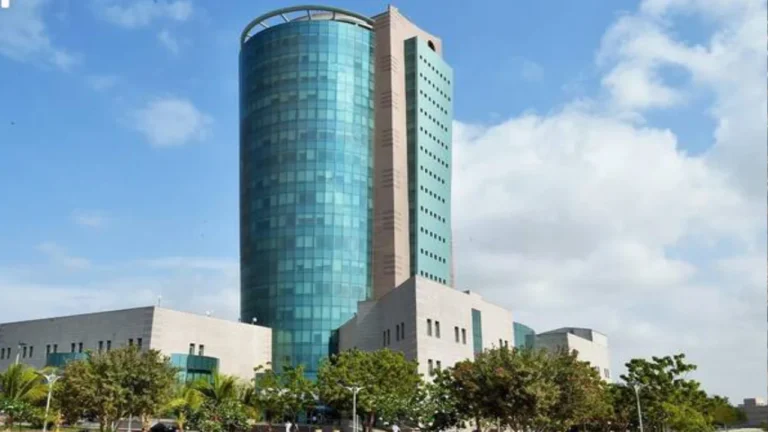 Saudi Arabian universities are advancing in global rankings