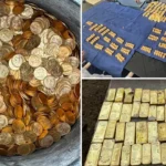 Student discovers hoard of gold while digging a drain