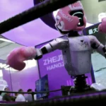 US funds research on Chinese robot dogs.