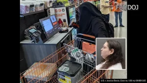 Woman arrested for allegedly plotting an attack on the New York State Capitol