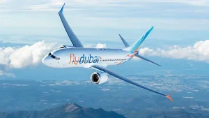 Pilot stabs another