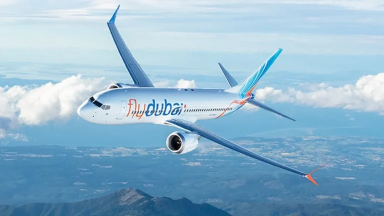 Pilot stabs another