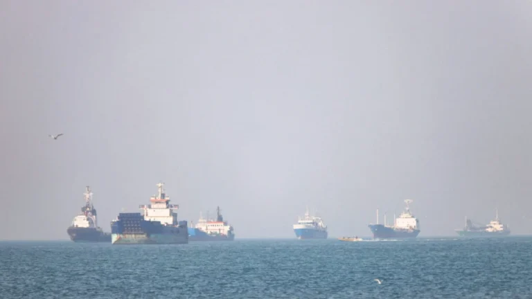 US claims over 1 billion barrels of oil transported via Hormuz.